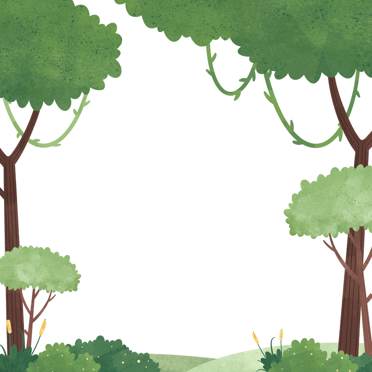 Green Forest Frame Background